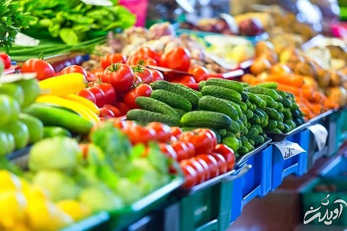 کیفیت مواد غذایی